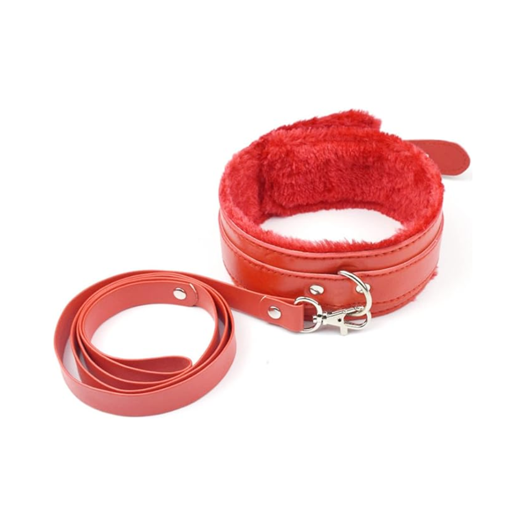 Collar Con Guía